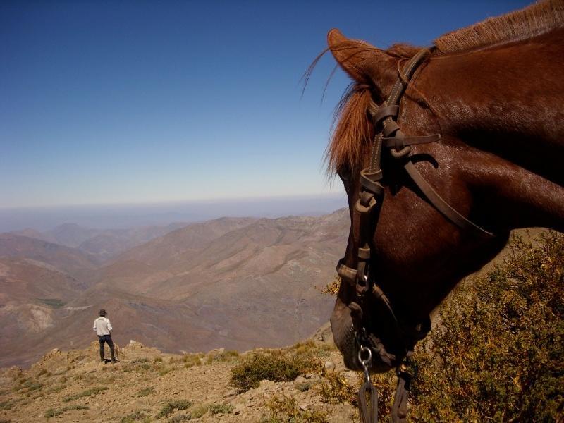 Вилла Hacienda Los Andes Уртадо Экстерьер фото
