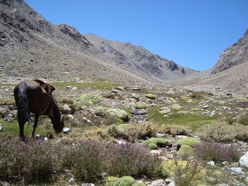 Вилла Hacienda Los Andes Уртадо Экстерьер фото